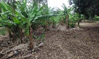 Imagem 5: Terreno plaino polenghi 35 km de Itapetininga, perto da fábrica polenghi