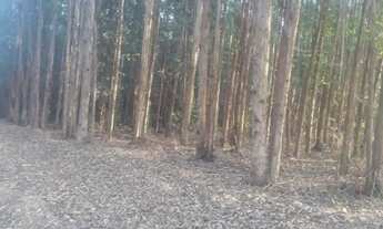 Imagem: Terreno residencial à venda em tanquã