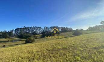 Imagem 7: Salomone vende Lindo Sítio de 13 hectares com açude