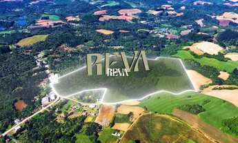 Imagem 4: Terreno para chácara com 30.000 de area de plantio