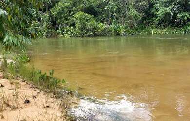 Imagem 6: Vendo Chácara Chácara com venda por R$100.000