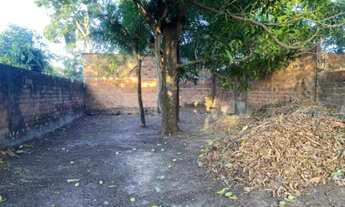 Imagem 4: Terreno em São Luiz