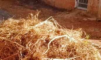 Imagem 4: Lote 26 de setembro