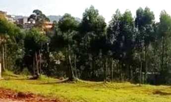 Imagem 2: TERRENO EM CONDOMÍNIO - ITAHYE - SP