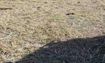 Imagem 2: Terreno à venda em Campinas, Parque Taquaral, com 5116 m²