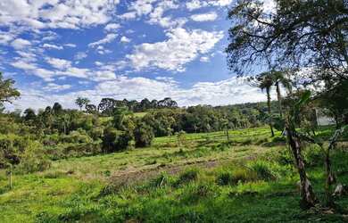 Imagem 6: Vende-se chácara em tijucas do sul