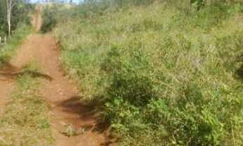 Imagem 2: Areá Rural Fazenda / sítio com venda por R$350.000