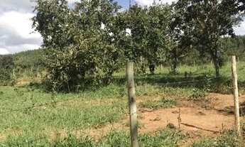 Imagem 5: Oportunidade chácara de 2500 metros de 90 mil por R$52Mil * whtsapp