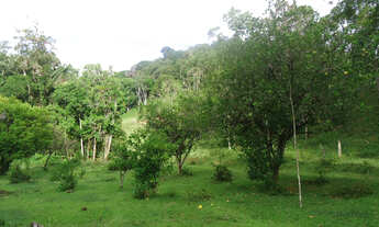 Imagem: Sitio valor R$ 8.500,00 cada hectares