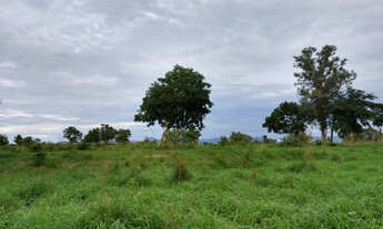 Imagem 4: Goias-GO Município Nova Roma Vendo Fazenda
