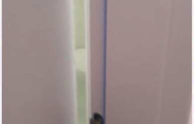 Imagem 6: Alugo Apartamento NOVO e Orleans no centro