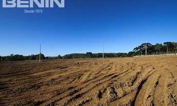 Imagem 5: GRAMADO - Terreno Padrão - DUTRA
