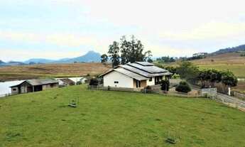 Imagem: AM - Área rural entrada R$16.700,00