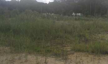 Imagem 3: Excelente Chácara com 3.500 m2 170.000.00 Campo Largo da Roseira