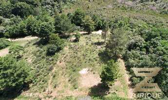 Imagem 5: Terreno à venda, 1624 m² por R$ 210.000 - Alto da Boa Vista - Campos do Jordão/SP