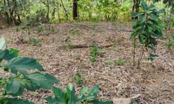 Imagem 2: Chácara/Terreno em Cariacica 4100m² Oportunidade