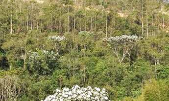 Imagem 5: Lote / Terreno à venda em Domingos Martins