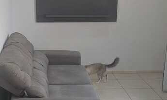 Imagem 2: Apartamento à venda no Condomínio Parque Rio Fortore, 2 quartos, R$ 180.000,00