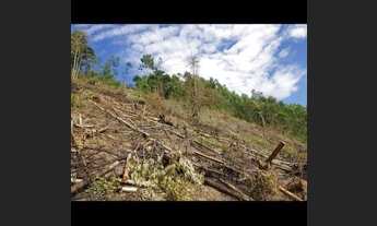 Imagem 5: Sítio 26.000 m2 em Jarinu, bairro Campo Largo