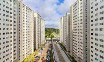 Imagem 5: Apartamento para Aluguel - Campo Grande, 2 Quartos, 45 m2