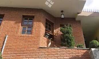 Imagem: Venda Residential / Home Vila Dom Pedro