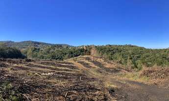 Imagem 3: Sítio no bairro Várzea Grande em Gramado!
