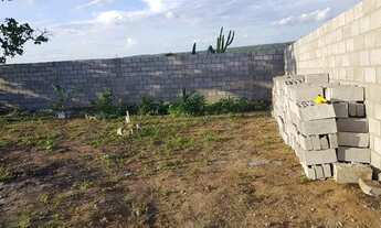 Imagem 6: Mini Sítio Próximo a Matinha / Área Bem Ampla