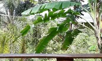 Imagem 5: Aconchegante casa com lareira prox a praia do luz