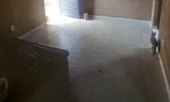 Imagem 4: Alugo casa Casa com 2 dormitórios