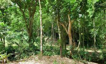 Imagem 5: Lindo terreno em Aldeia