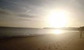 Imagem 7: Cutijuba de praia