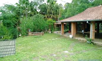 Imagem 4: SÍTIO - FREITAS - SP