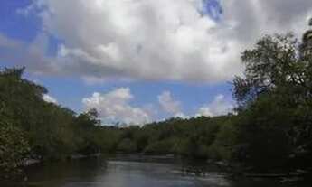Imagem 6: Fazenda 800 hectares