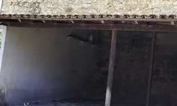 Imagem 3: Casa com 9 dormitórios à venda em Vitória