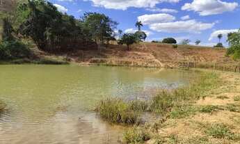 Imagem 6: Fazenda em santa Rosa