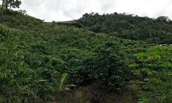 Imagem 7: Venda-se está chácara de 1.000 M2 na Santa Fé Municipal de Cachoeiro de Itapemirim/ES