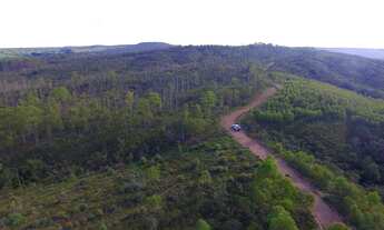 Imagem 3: Chácaras á Venda, 20mil Metros quadrados