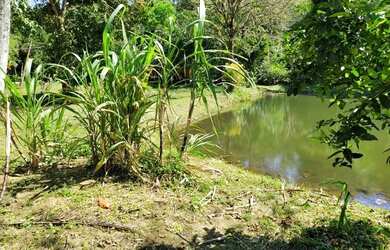 Imagem 3: Aluguel de terreno - Vargem Grande