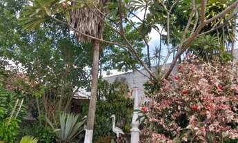 Imagem 6: O Paraíso de Casa