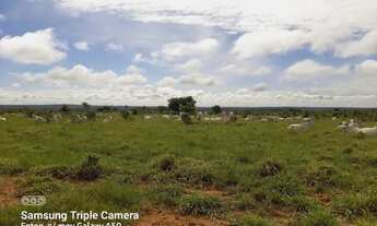 Imagem 6: . Uma fazenda 238 alqueires. 85 km de Pedro Afonso Tocan .. 2