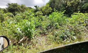 Imagem 5: Vendo dois Terrenos Planos no Ramal da Cacheira do Castanho 1400m2