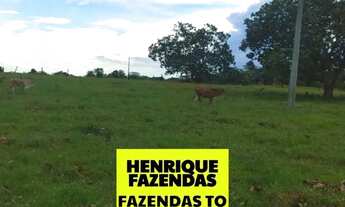 Imagem 5: Fazenda 30 alqueires região de Goianorte