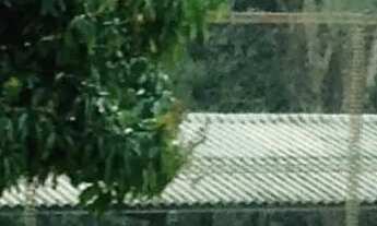 Imagem 2: Chácara em Mairiporã