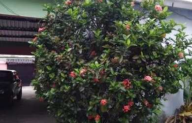 Imagem 6: Vende-se uma casa (com 1 kit net) espaçosa!