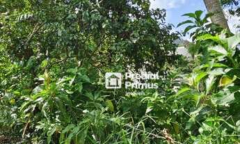 Imagem 6: Terreno à venda, 463 m² por R$ 350.000,00 - Cônego - Nova Friburgo/RJ