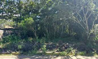 Imagem 2: Terreno para venda com 130 metros quadrados em Gaviotas - Itanhaém - SP