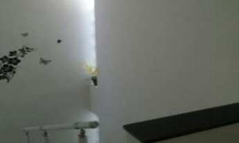 Imagem 5: CASA RESIDENCIAL em Caieiras - SP, Jardim Morro Grande