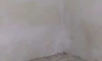 Imagem 3: Aluguel casa Quarto com aluguel por R$550 /mês