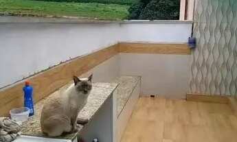 Imagem 5: Ótima casa a venda no Imperial