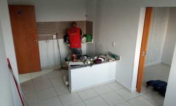 Imagem 6: Alugo samambaia sul